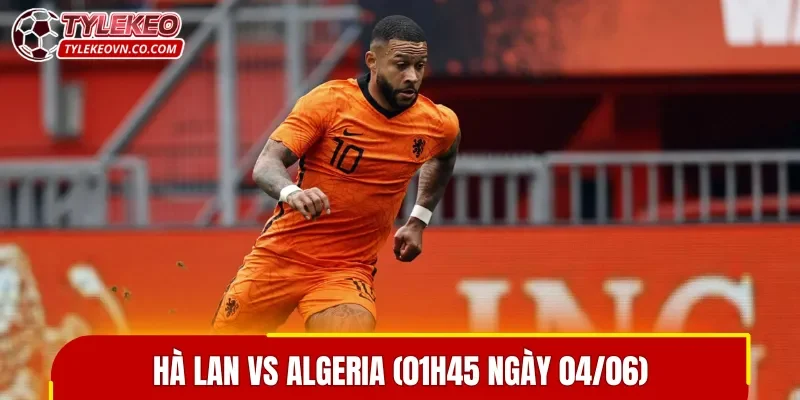 Chủ nhà được đánh giá cao hơn trong trận đấu Hà Lan vs Algeria